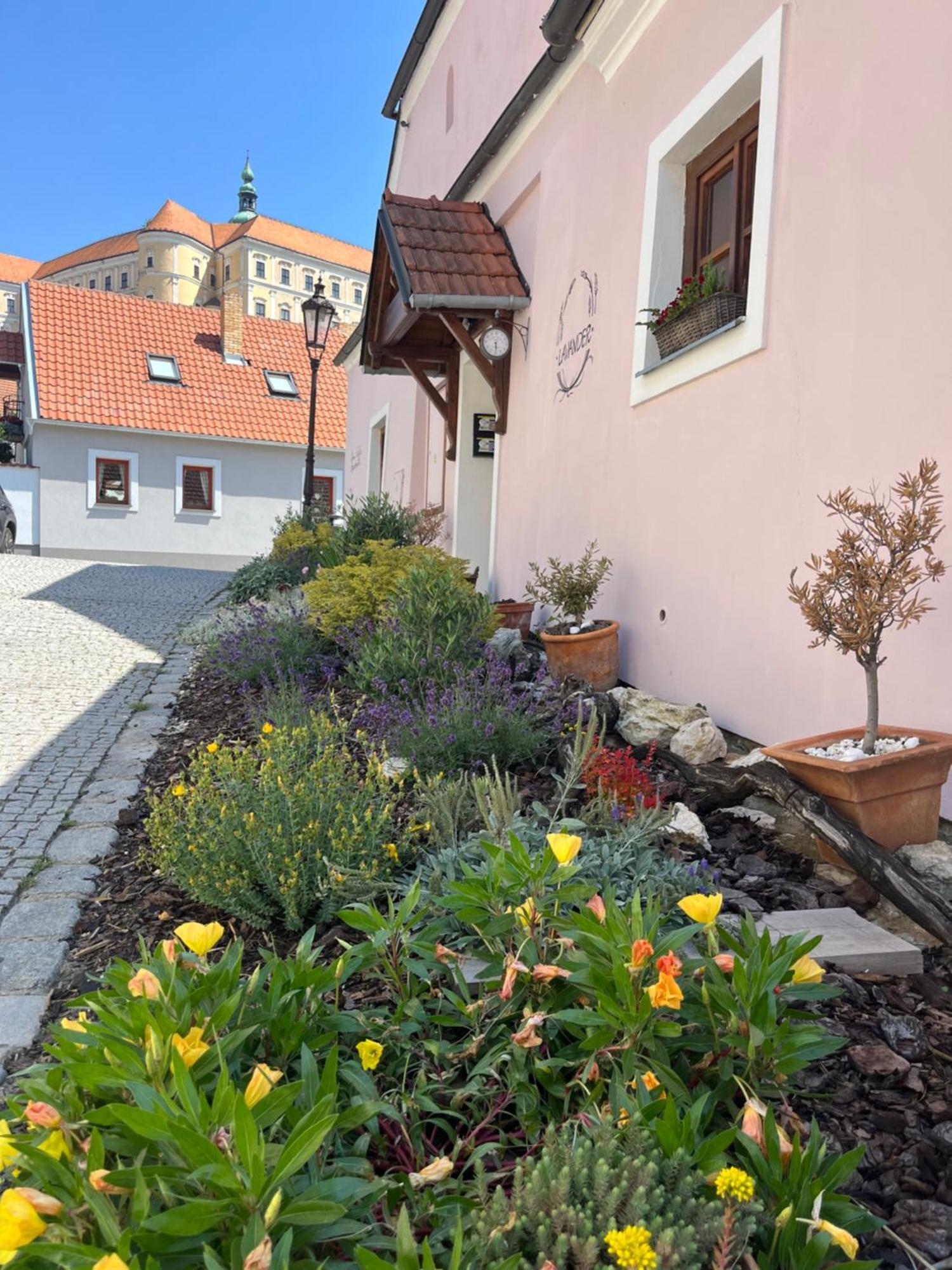 Apartmany Lavander Mikulov Dış mekan fotoğraf