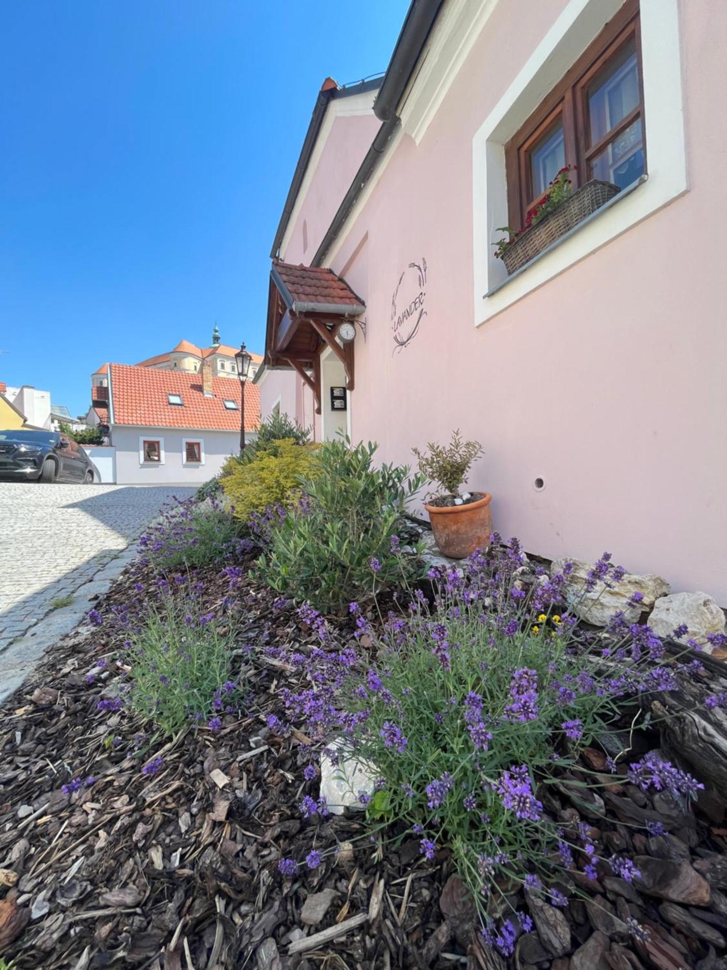 Apartmany Lavander Mikulov Dış mekan fotoğraf